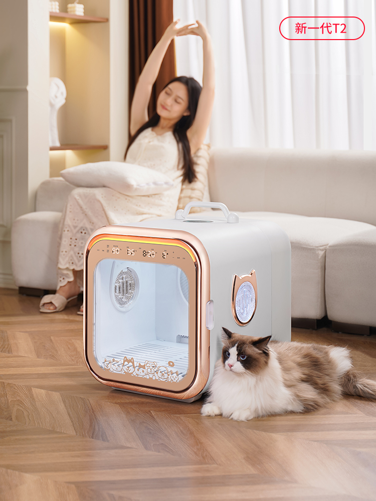 A dryer that cleans the air